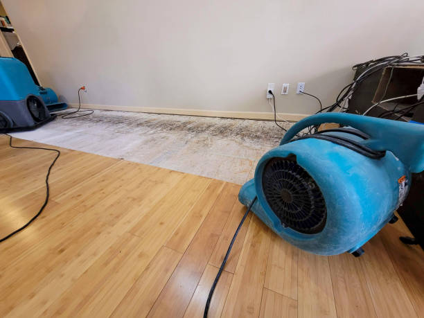 Professional Water Damage Repair technician working in Canton, PA